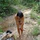 0-attachment_34064.jpg